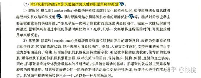 膝跳反射的感受器是肌梭但是膝跳反应中小锤子砸在肌腱上这样的话感受