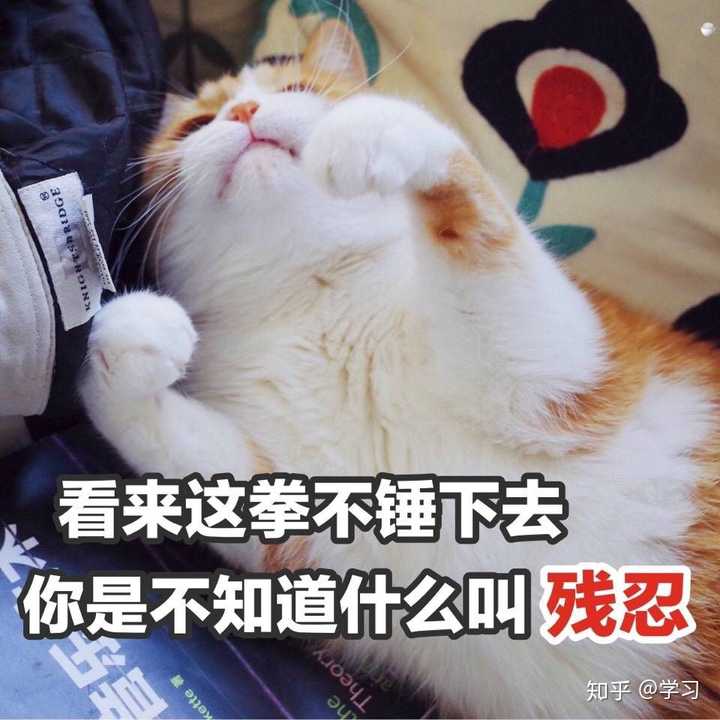 怎么样去很可爱的怼人呢?