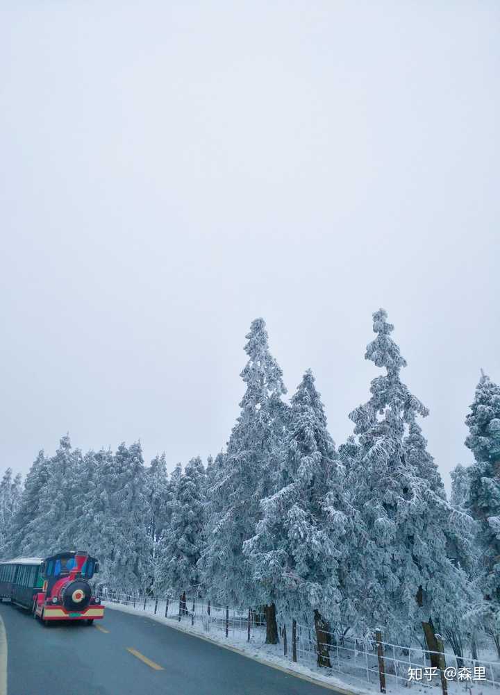 请问重庆哪里有可以看雪的地方呀?