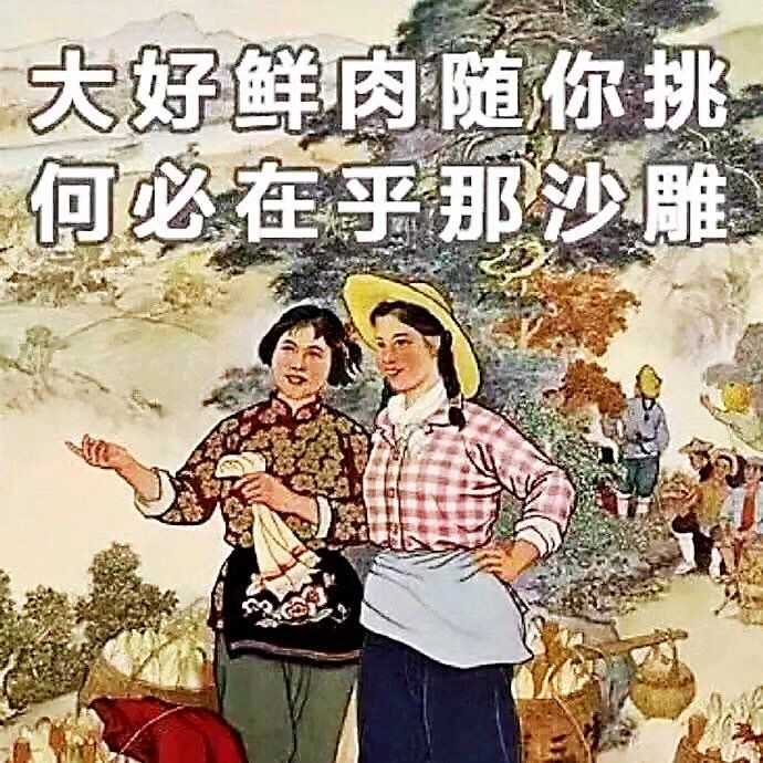 有哪些革命画报风格的表情包(无水印)?