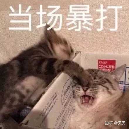 (你下贱)不!