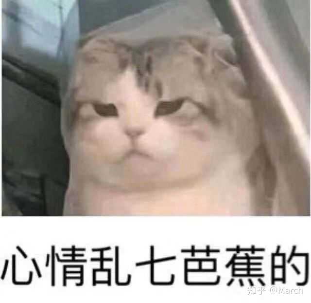 最牵挂的 当然是我的脑子:  脑子丢宿舍了没带回来,估计已经生锈了