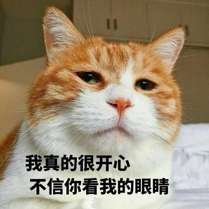大锤:欺负老实人?