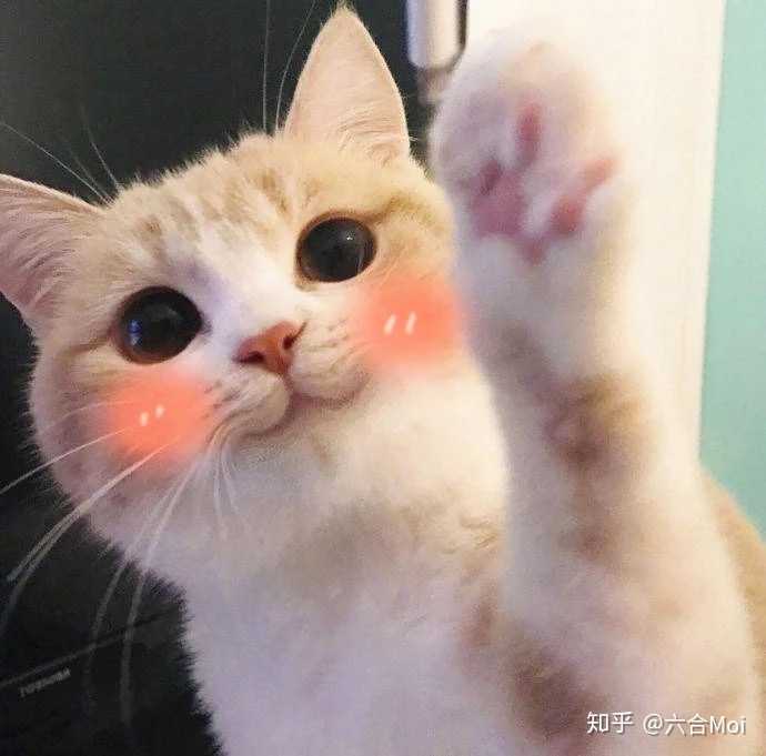 有没有不像情侣头像的情侣头像?
