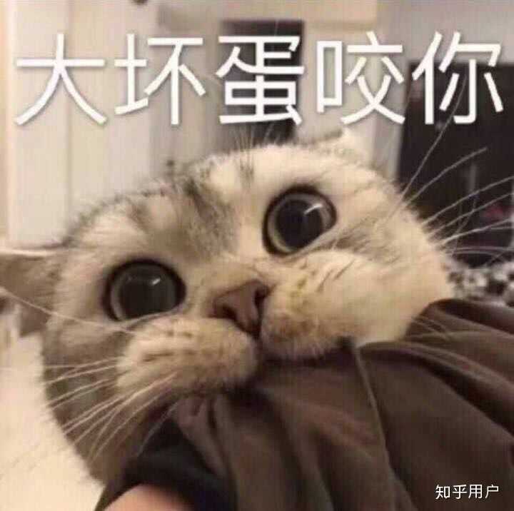 然后我的表情包都是这种……打扰了