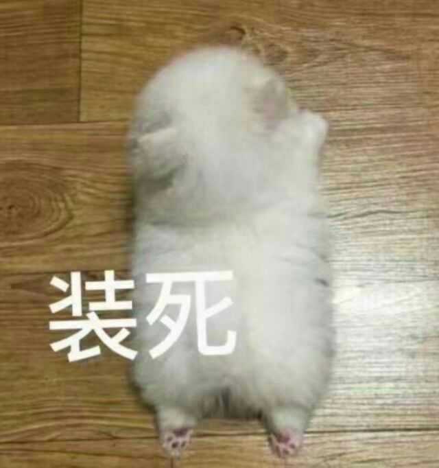 有哪些可爱的表情包?