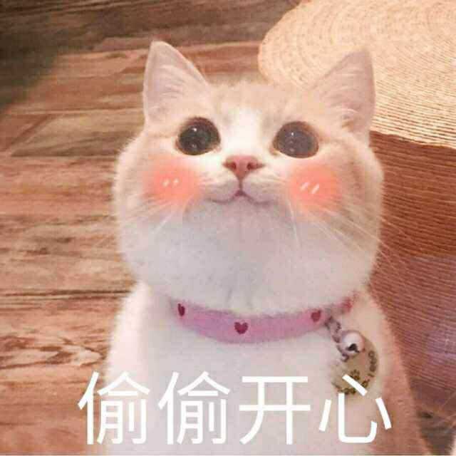 关于这个问题,只能说猫咪是无辜的,喜欢发猫咪表情包可能简单只是从