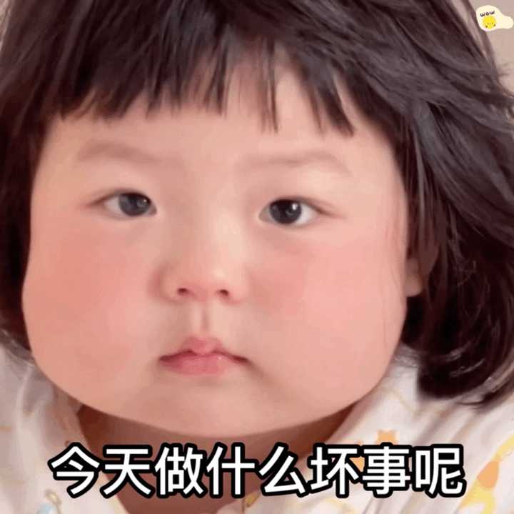 想知道这个小孩叫什么,想要他的更多表情包?