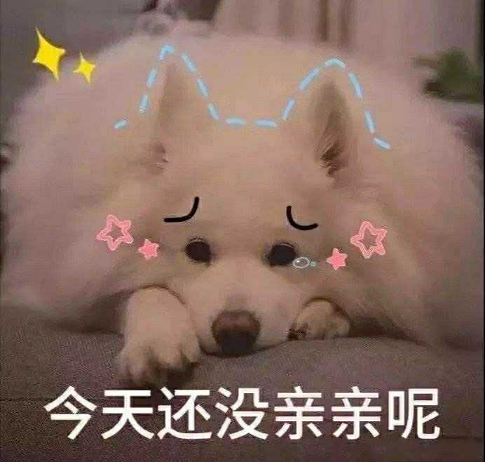 有没有给女朋友亲亲的表情包?