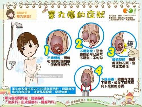 为什么两个睾丸一大一小呢?