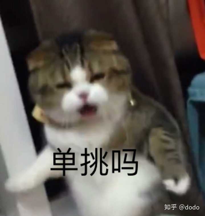 有没有比较沙雕的说说配图?