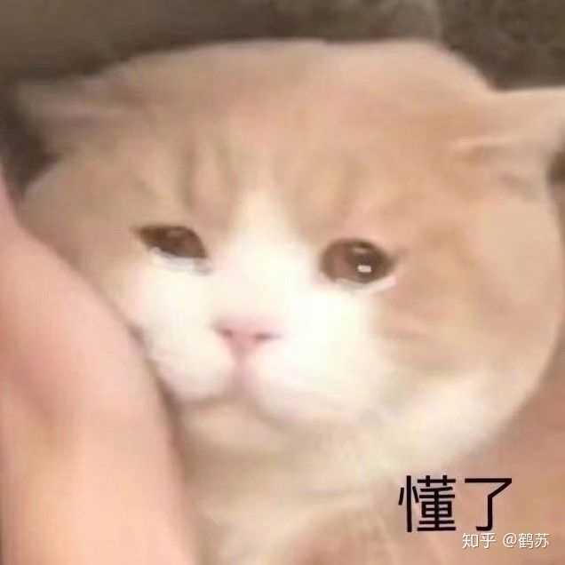 有没有什么生无可恋的表情包?