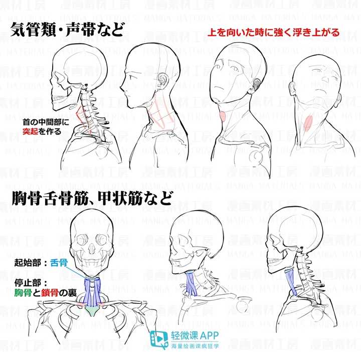 对人体学习有疑问的同学看这里:以上素材作者来自p站画师:漫画素材