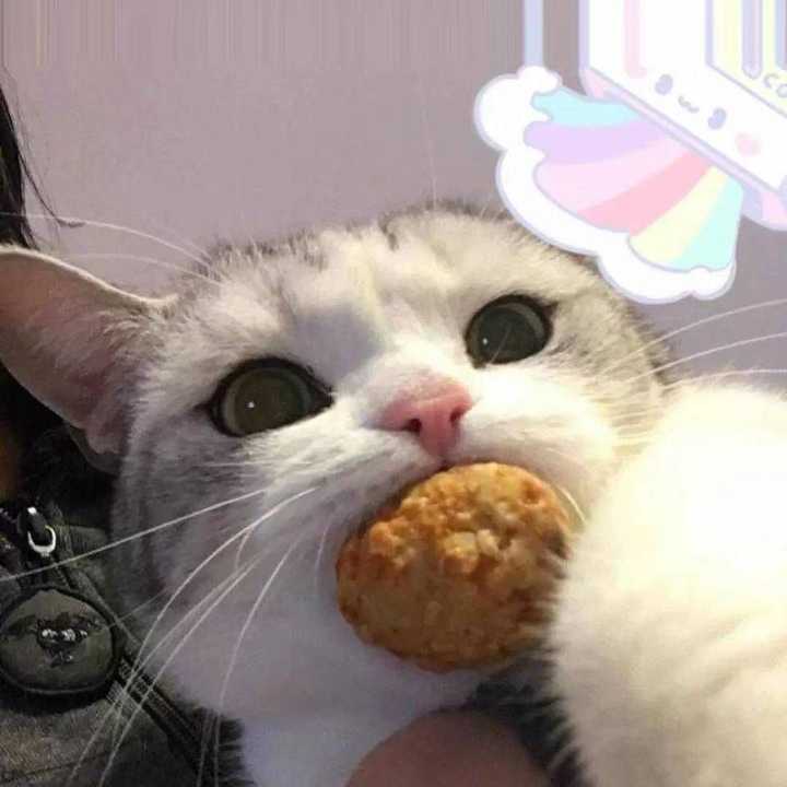 有没有那种沙雕中不失正经的头像?