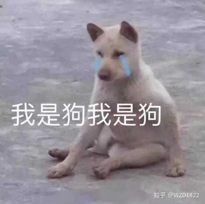 有没有什么生无可恋的表情包?