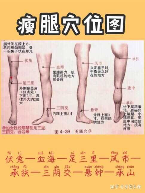 瘦腿(图中有穴位图) 准备:刮痧板 能起到润滑的油 方向:从大腿根开始