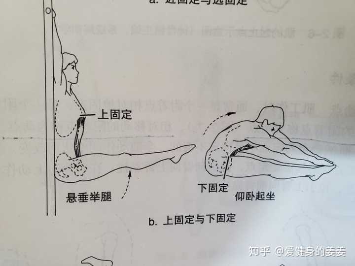 如何科学地锻炼手臂肌肉