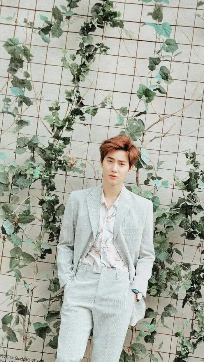 有哪些exo队长suho的好看的当壁纸的图片嘛?