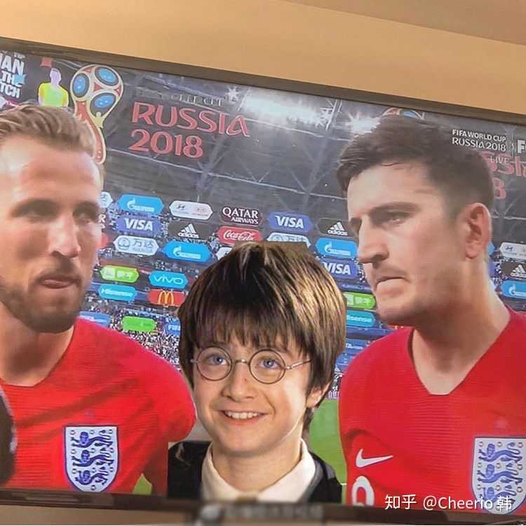HarryKane,kanebrown 世界杯神图# 哈利凯恩harry kane 哈利波特harry potter 哈利马奎尔