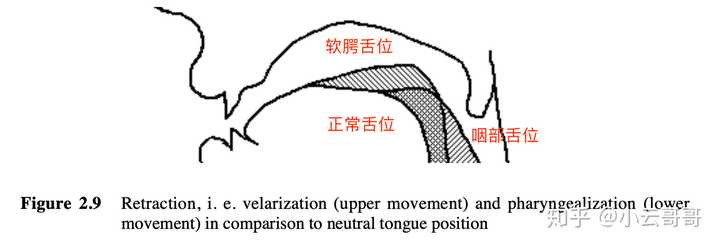 为什么我发翘舌音时会不自觉地嘟嘴?