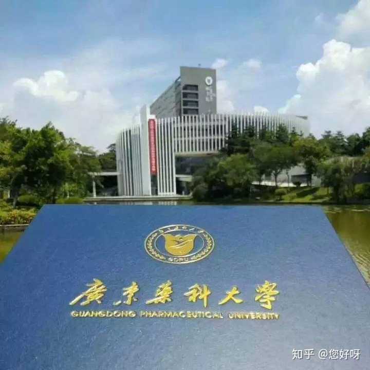 广东药科大学的图书馆或教室环境如何?是否适合上自习