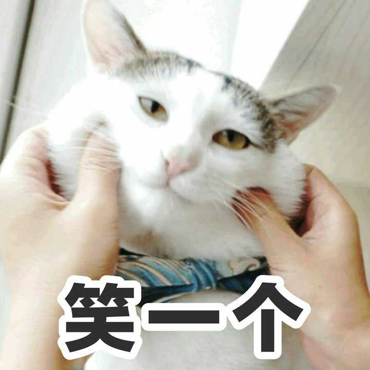 自黑我可能还是很服我自己的.