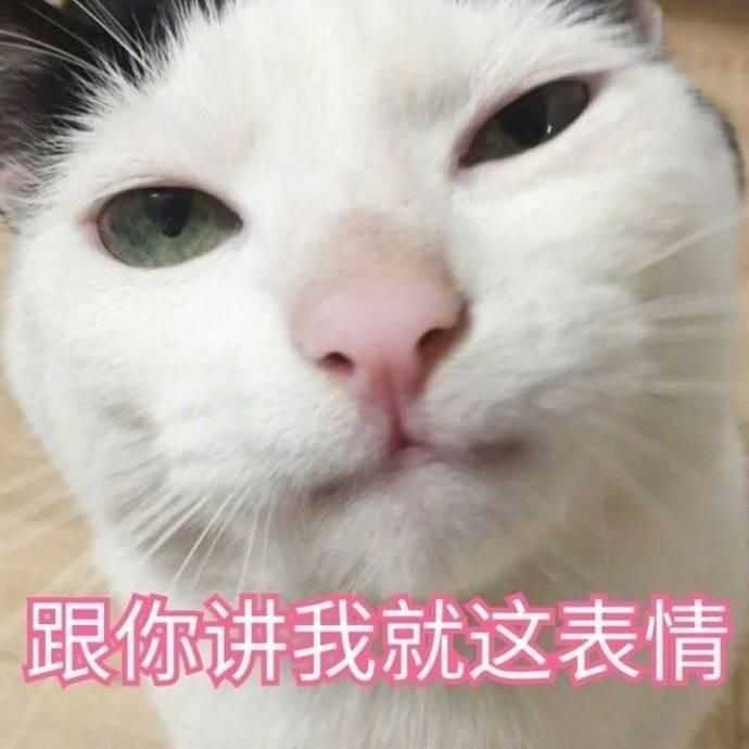 我还能说啥?