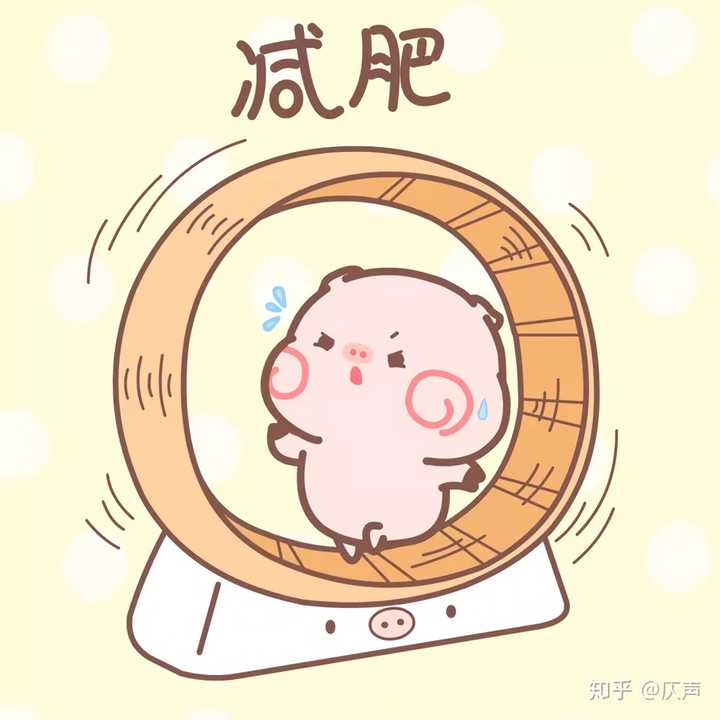 最后,祝我减肥成功