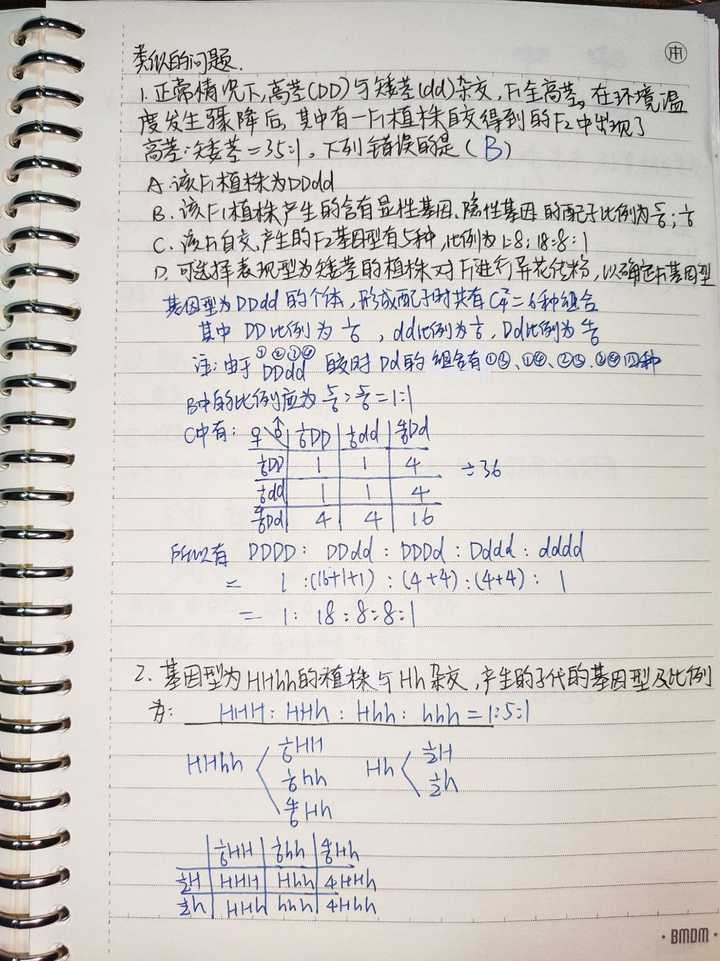 高考结束了,可以分享一下你的高三笔记吗(趁着还没扔)