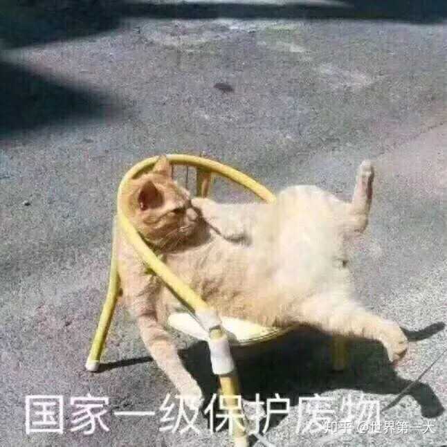 有哪些能把人死的表情包?