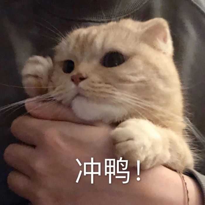 有哪些适合男孩子的微信头像?