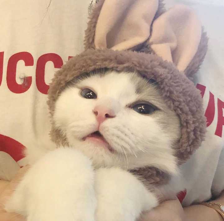 有哪些好看的适合女生的微信头像?