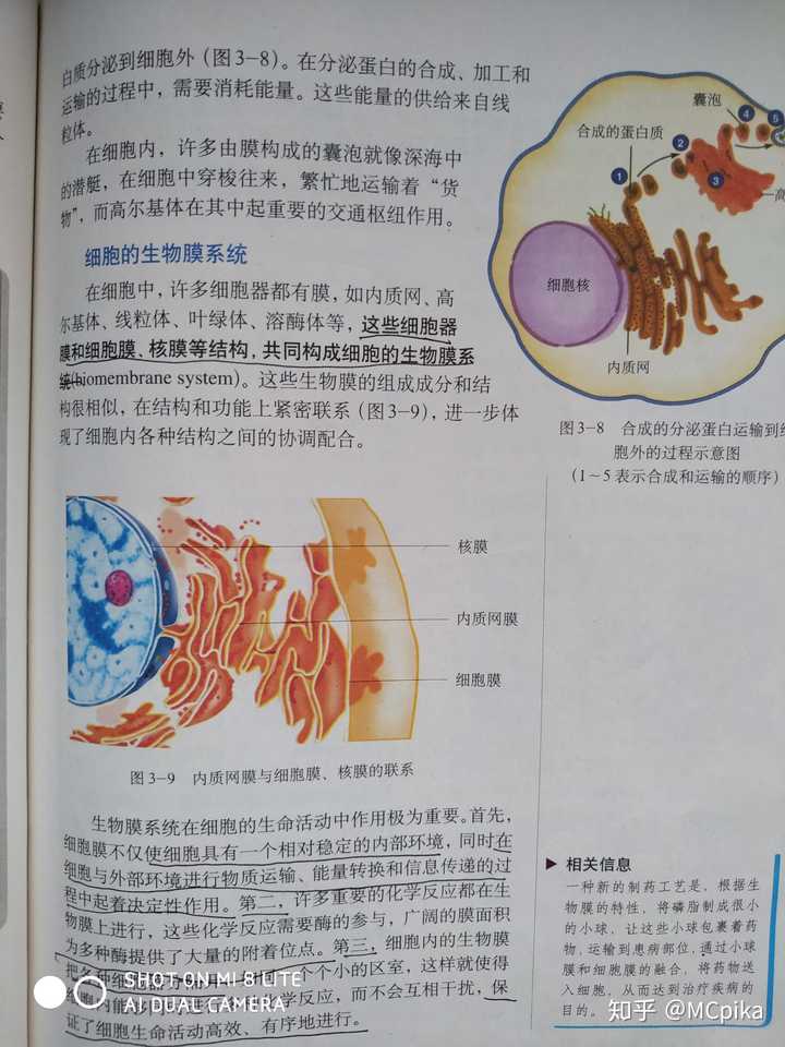 生物膜系统在高中生物书什么地方学的啊?