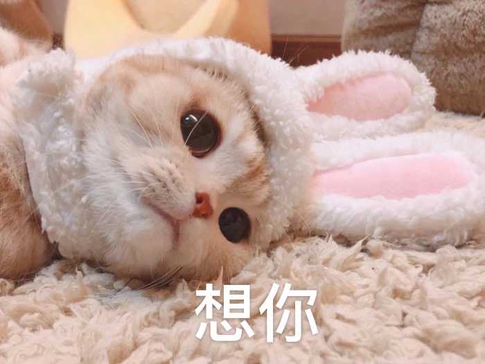 目录: 01 可爱宝宝表情包02 小企鹅表情包03 蜡笔小新表情包04 猫和