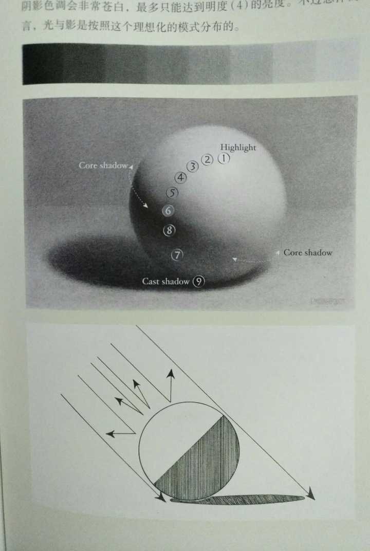 接下来才是野路子考前书第一课就学的全因素光影素描
