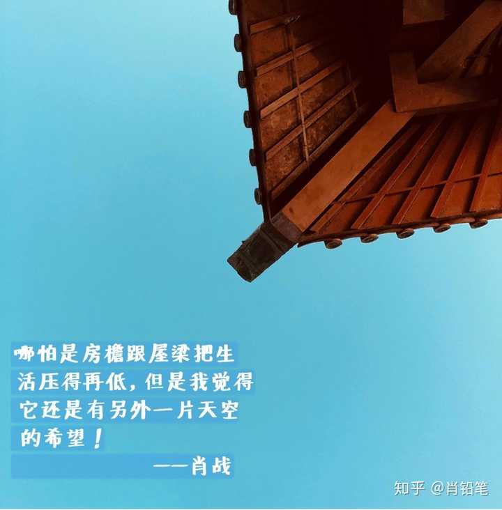 怕是房檐跟屋梁把生活压得再低,但我觉得它还是有另外一片天空的希望!