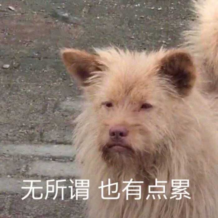 关于网课你有哪些沙雕头像安利?