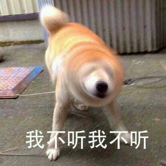有哪些沙雕又可爱的动物表情包?