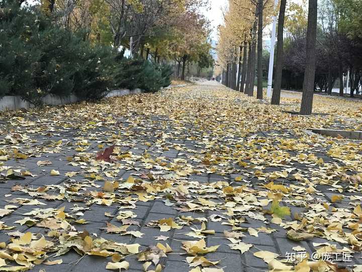 北京的秋天是什么样的?