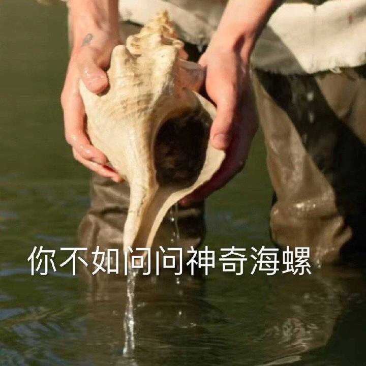 on mv中小国的神奇海螺