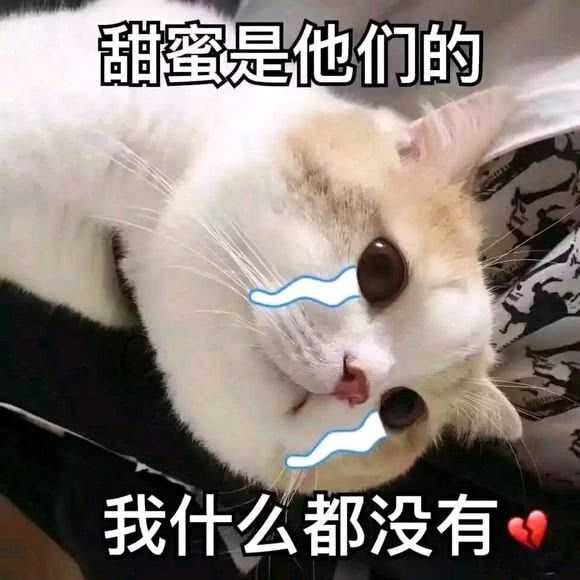 有没有给女朋友发的表情包?