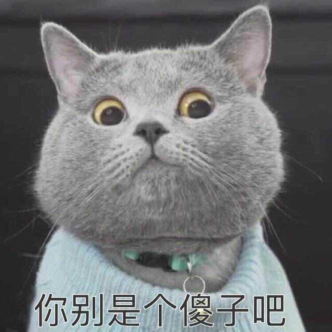 你睡觉醒来发现自己睡懵了以后都做过什么搞笑的事情?