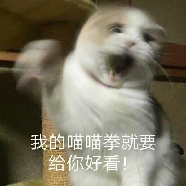放前面比较容易找 快夸我贴心嘿嘿嘿(疯狂眼神暗示) 后面有渣女表情包