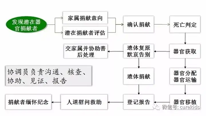 中国器官捐献与移植流程   图片来源:中国人体器官捐献管理中心