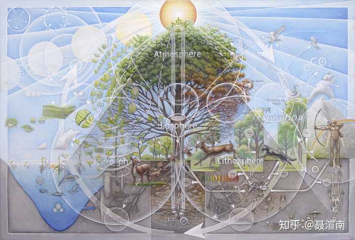(生物圈文氏图,四季变迁,动物与植物的一生,大气,水与有机物循环)