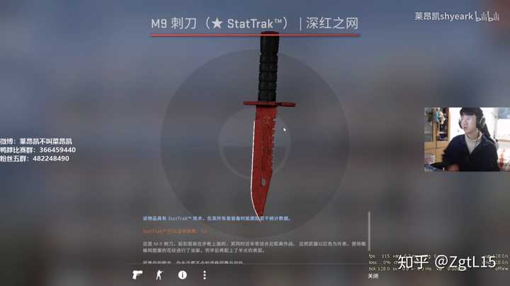 《csgo》里有哪些天价物品?