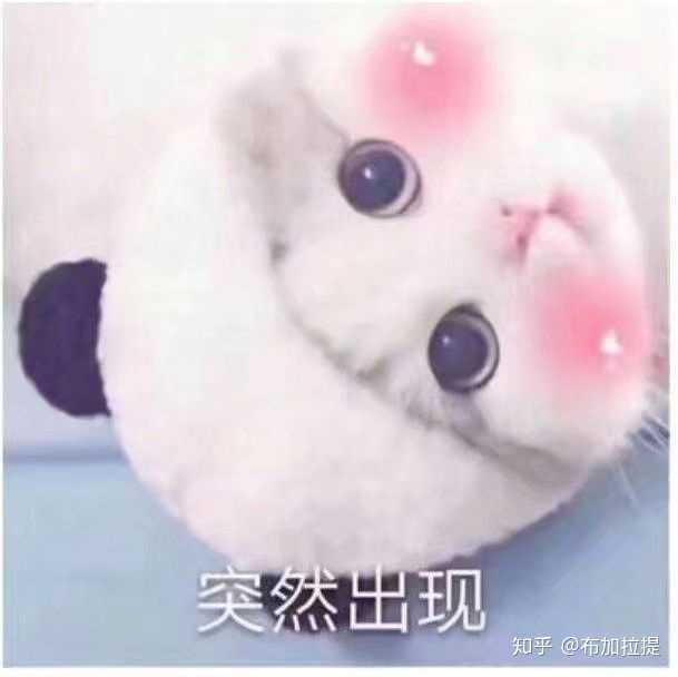 首答献给我的表情包,发给对象的甜甜的表情包