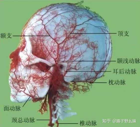 你被坑的最惨的一次经历是什么?