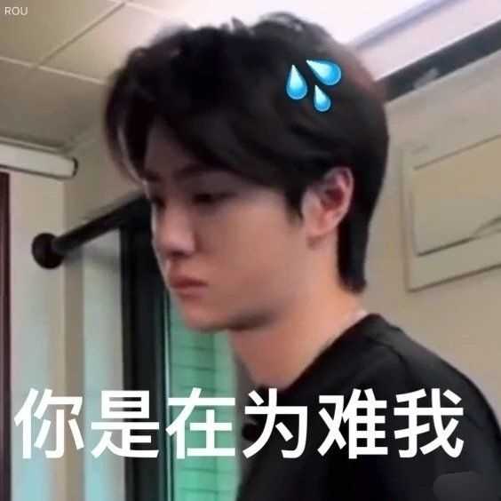 mtjj们有没有王一博搞笑的表情包?