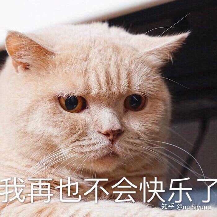 多么希望我脆弱一点吃不下饭啊